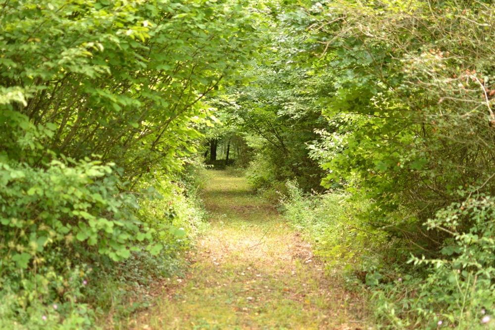 poterie saint médard
